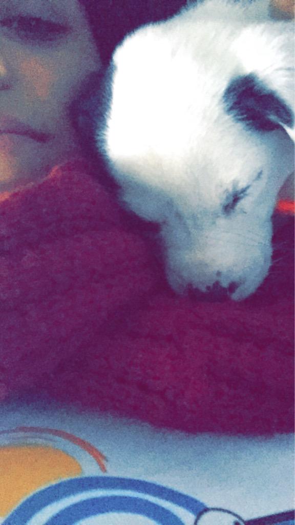 RosvitaT's tweet photo. puta que eres rica 😍... pero odiosa jajajajaj #cleolover 😍🐶 http://t.co/mkMGMIy7Zw