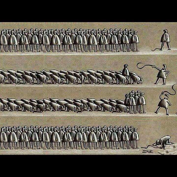 teagle7's tweet image. Study  Learn  Live #freethedocs