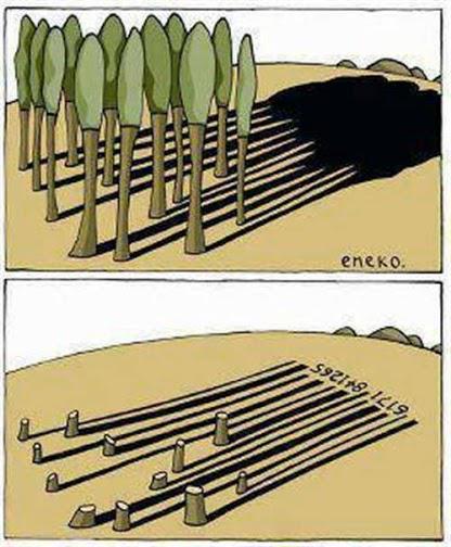 Las sombras del consumo....