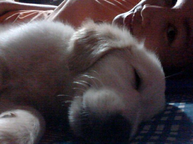 แม่เมื่อยน่ะลูก...555