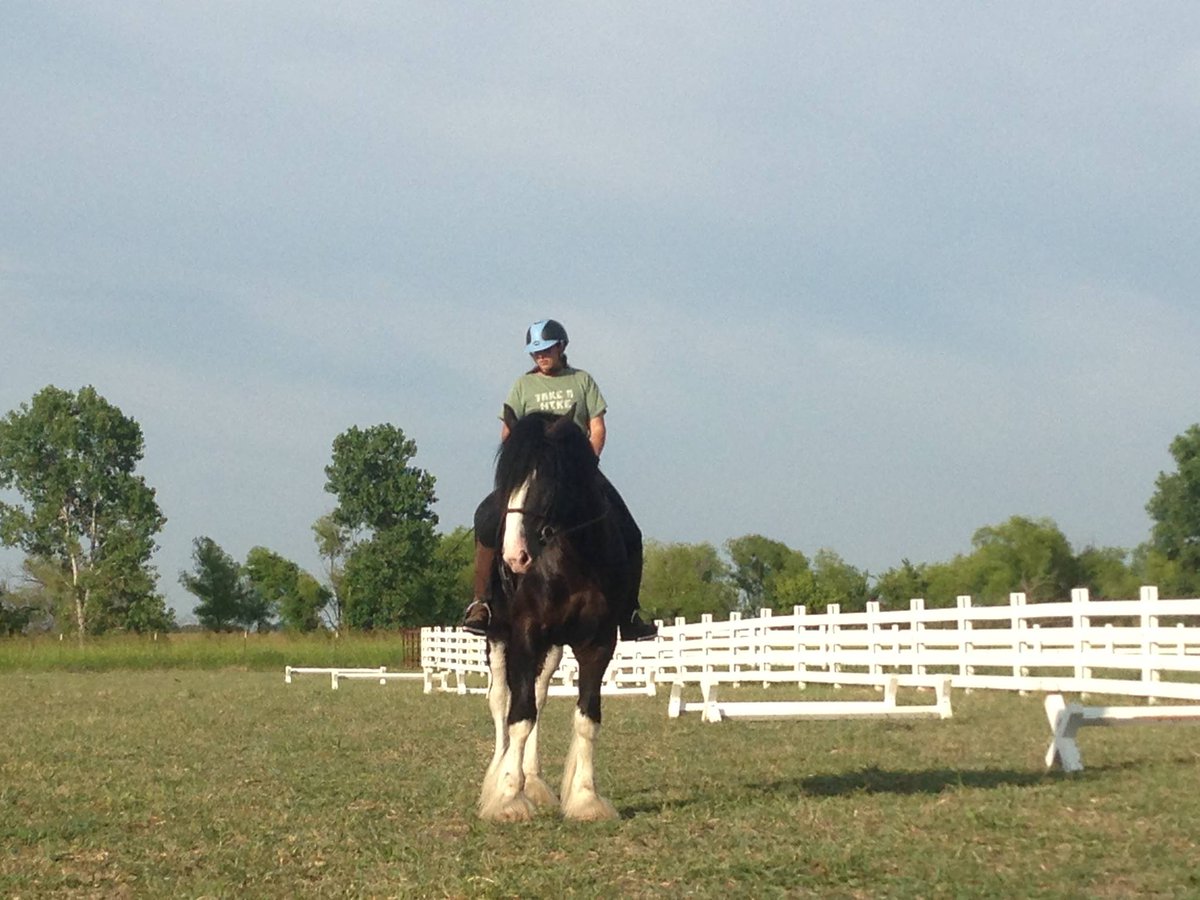 CandiedCode's tweet photo. I code at @lifeatmatch and farm at home.
#ILookLikeAnEngineer #ILookLikeAFarmer #ILookLikeMe http://t.co/t31YJTEzJh