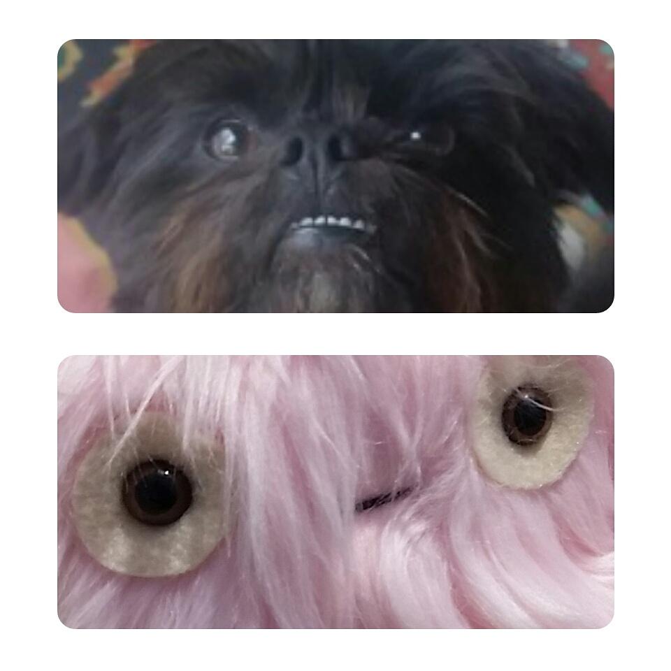 cuddlexmonster's tweet photo. Here's Winnie with the Cuddle Monster version of herself!! #cuddlemonster #letscuddle http://t.co/gZB5iQpGWq