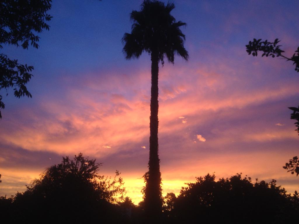 KristineFox23's tweet photo. Love my backyard sunsets... #CaliLife http://t.co/ktMyV7ij6h