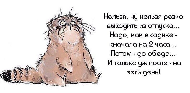 Первый рабочий после отпуска. После отпуска. Поздравление с выходом на работу после отпуска. С выходом из отпуска прикольные. С выходом на работу после отпуска.