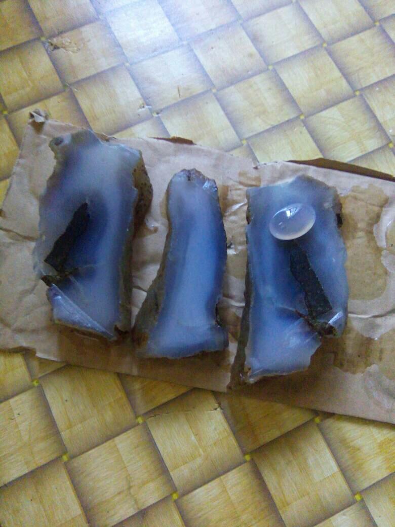 aiyub1502's tweet photo. Jual cempaka baiduri aceh nagan raya. hanya Rp 2.500.000, lihat gambar klik https://t.co/N5Fw0Ep7SQ http://t.co/jZC5kwK3xG