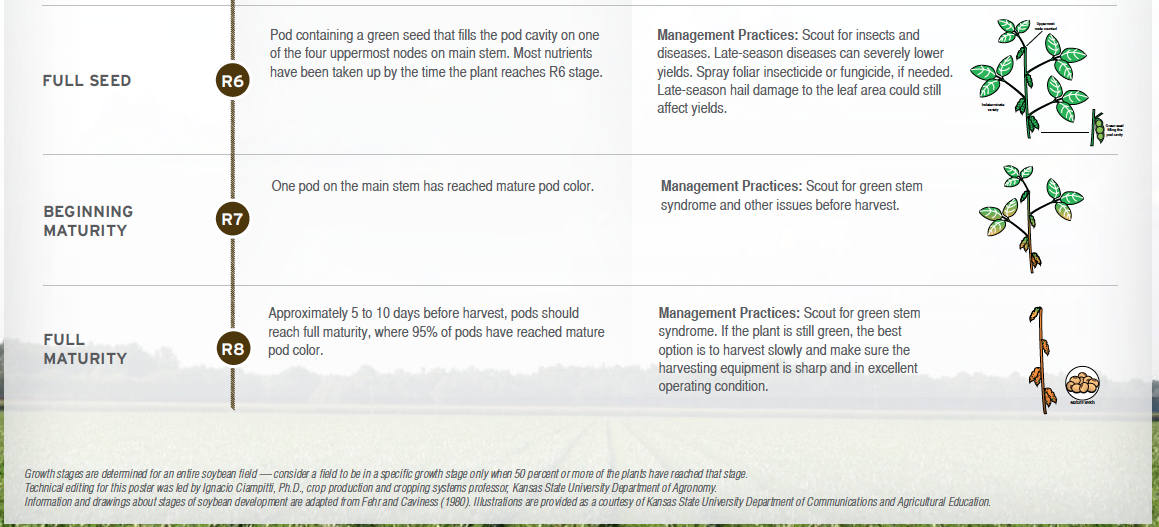 Soybean Maturity Chart