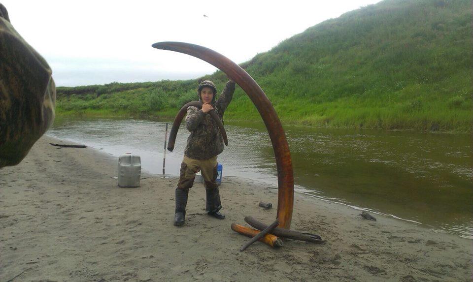 Власти Якутии озаботились законностью сбора бивня мамонта bit.ly/1JNhjwp