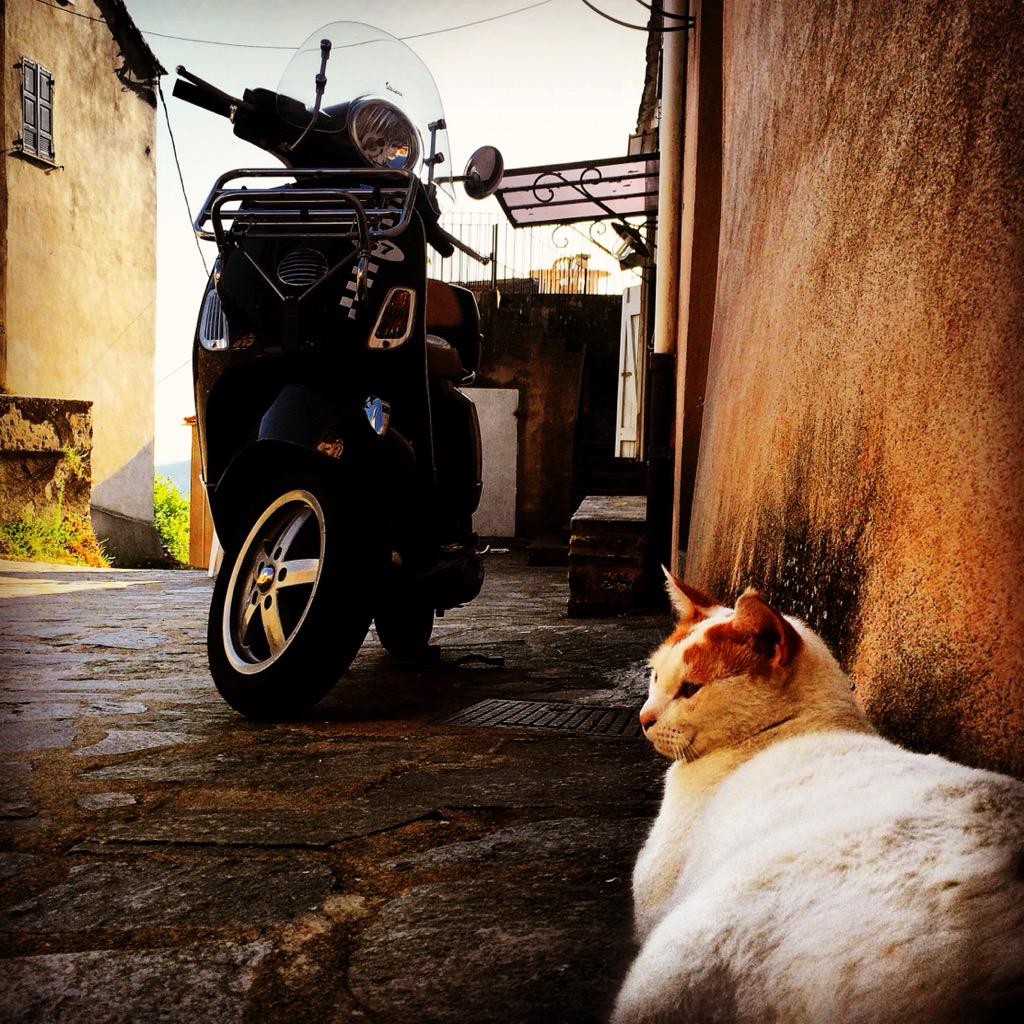 jmi_2A's tweet photo. Dolcevita @Vespa_Official http://t.co/2I6OVTfoum