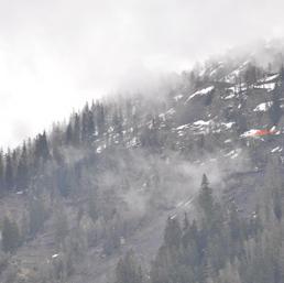 Collegamento permanente dell'immagine integrata