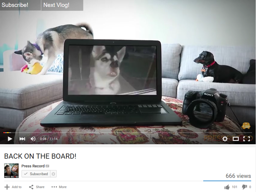 FaelynWolff's tweet photo. @LetsPressRecord @BBPaws I paused the vlog to let it buffer a bit and caught this still. #DerpFaceNora #666Views http://t.co/wCoKY1m9ia