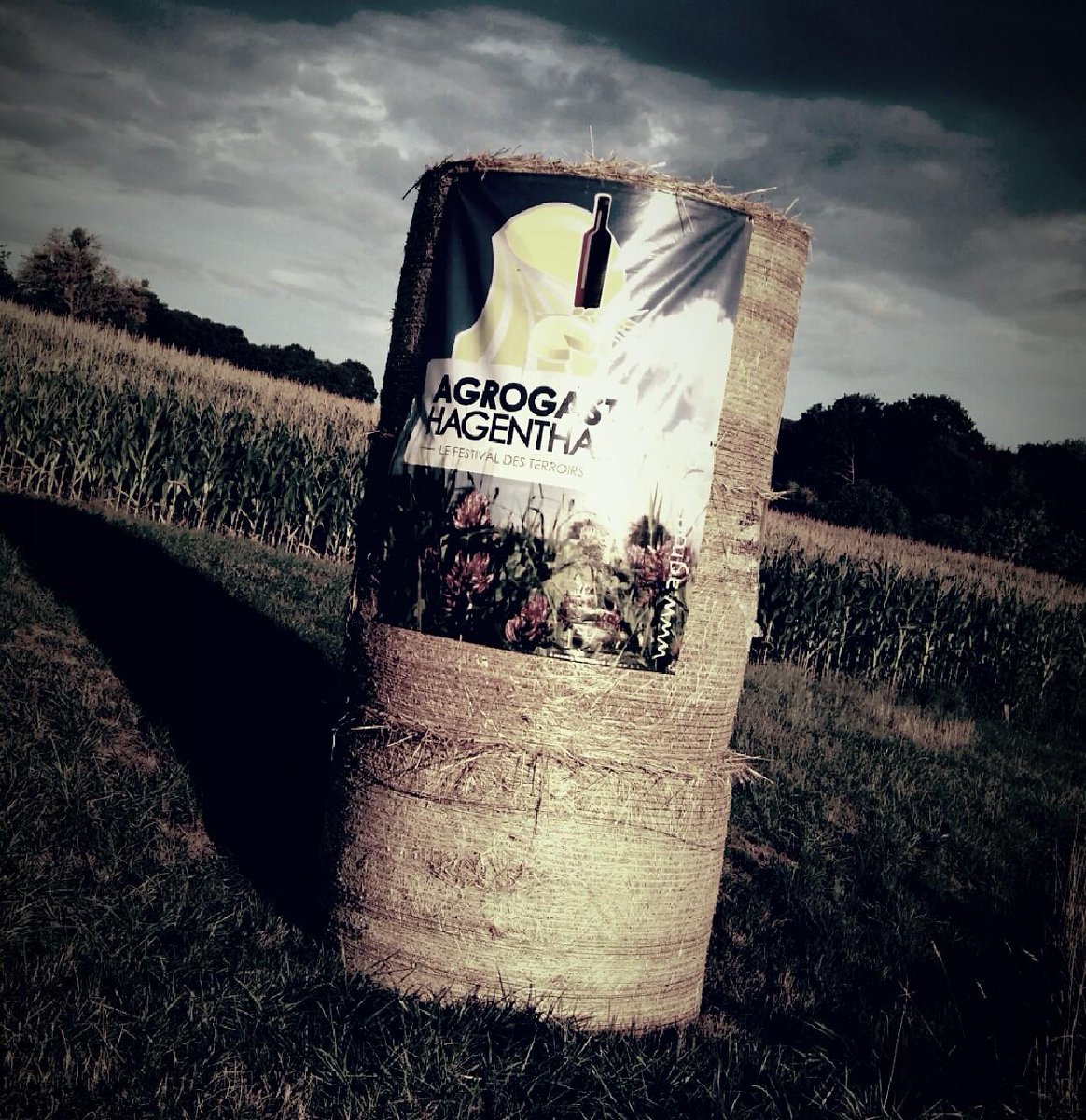 Agrogast tweet media