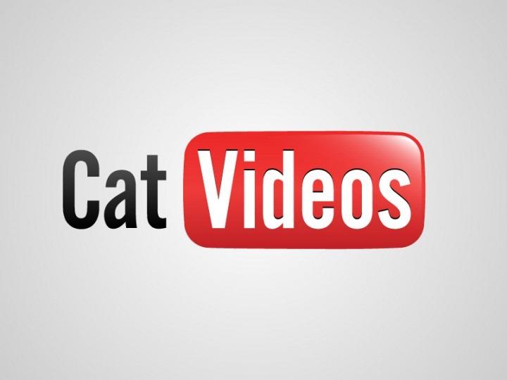 search_internet's tweet image. #SevenNetwork dumps reality TV show #RestaurantRevolution and broadcasts #YouTube cat Videos.

Where is TV heading?