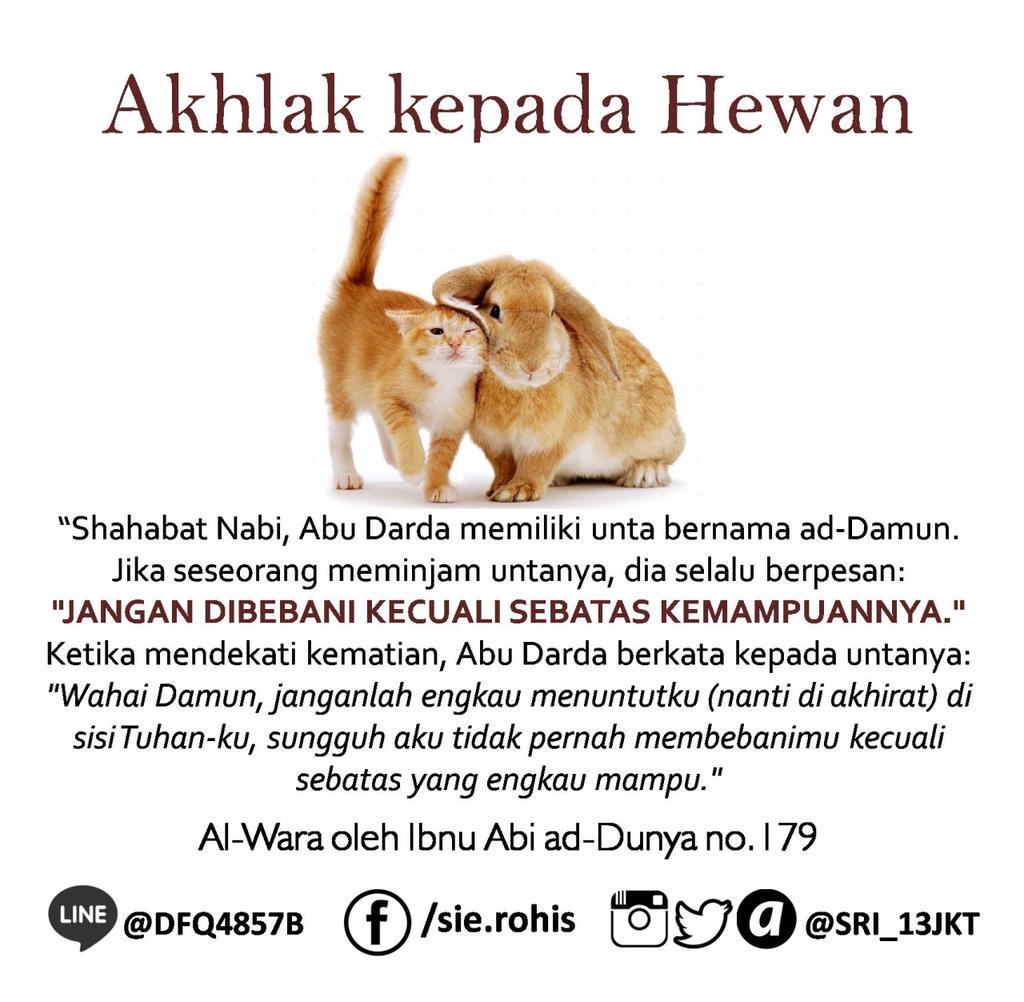 Hewanpun kan jadi saksi kebaikan dan kezaliman kita.