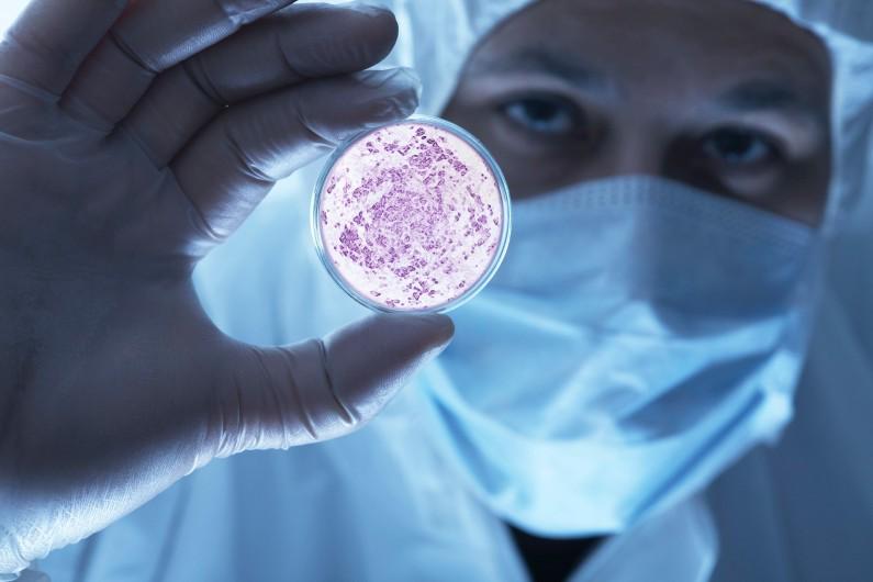 Anticipazioni Report: Super-batterio e resistenza agli antibiotici