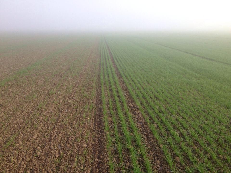 Abemec Flevoland tweet media