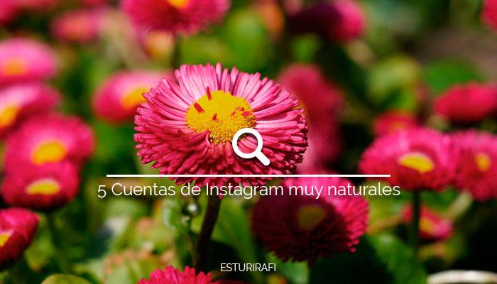 🌸¡Nuevo post! 5 Cuentas de #Instagram muy naturales ow.ly/QyDWK