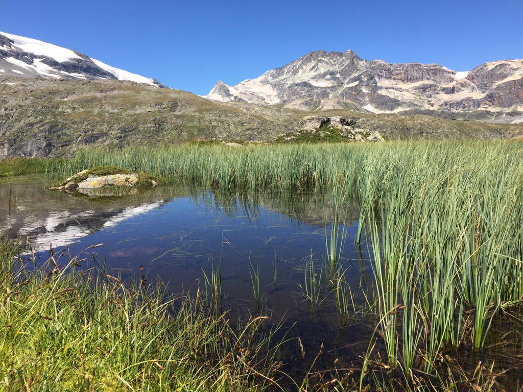NATimages_LeMag's tweet photo. #natimages Pour tous nos Lecteurs, petite carte postale de la rédaction en plein vagabondage photographique http://t.co/uCxDYVMqMw