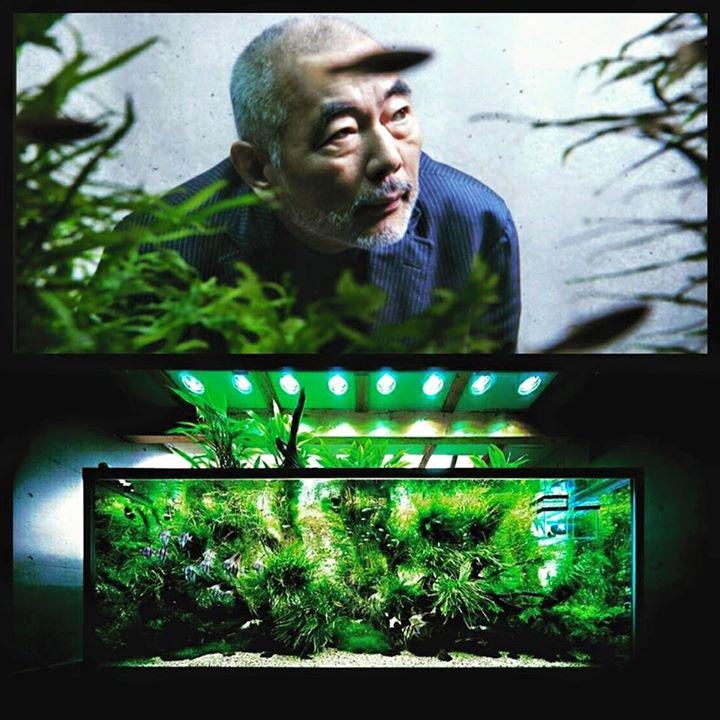 AquascapingLife's tweet photo. Rip Mr.Amano http://t.co/dXcyQc6wwi