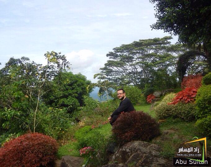 travelzad tweet picture