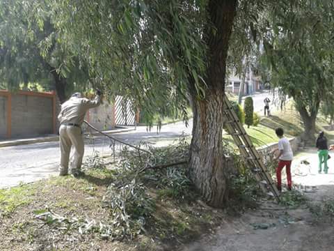 SergioReyesRs's tweet photo. #VinSo Brindando apoyo a Los Lideres y Vecinos de Col. La Quebrada en Jornada de Poda y Limpieza #PorUnIzcalliDigno http://t.co/BMas2QkSH5