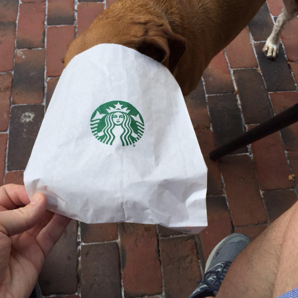 Steve Rudin ABC7 on Twitter: