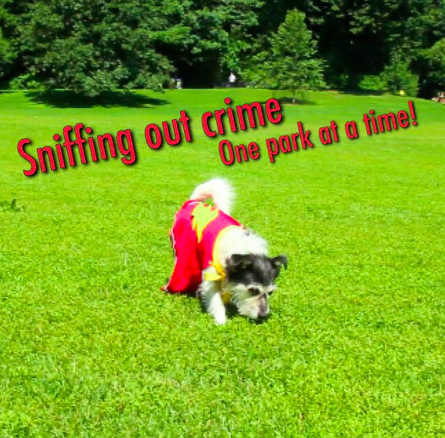 BSSco's tweet photo. Sniffing out crime, one park at a time! Check out our new video, "Super dogs of Bark Slope". http://t.co/gd2XPNkj5r http://t.co/o4vUjOhZ4T