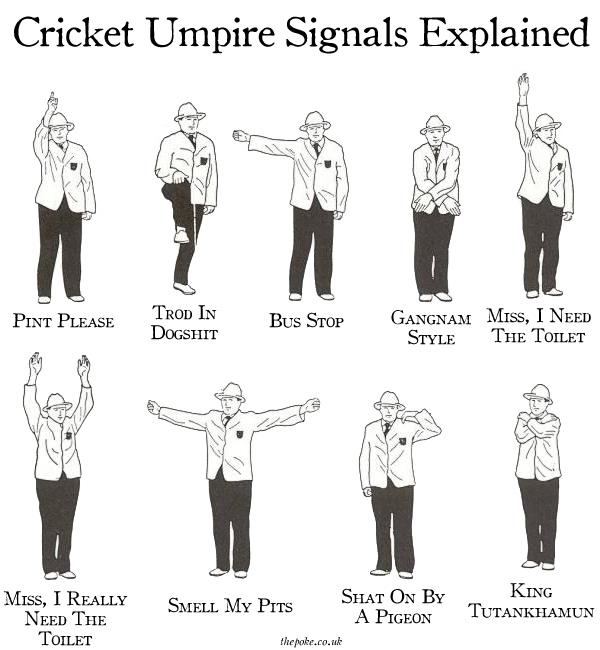 Cricket Umpire Signals Explained TheAshes2015 The Poke Scoopnest cricket-umpire-signals-explained-theashes2015-the-poke-scoopnest
