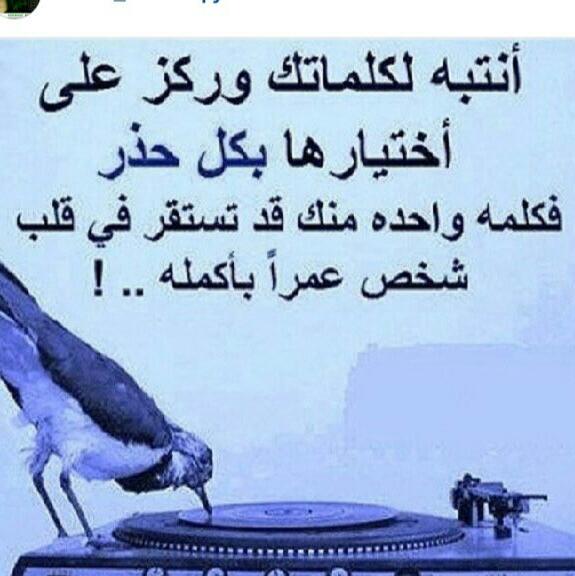 Asdsz Rdfcc tweet media