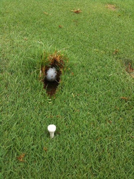 golfbreaks's tweet photo. If the Australian innings from this morning was a golf shot, it would definitely look like this... http://t.co/yTn5TJh3OP