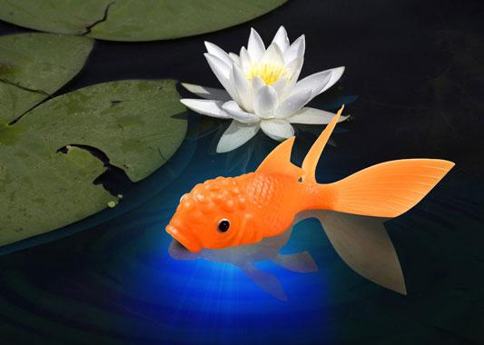 Koi Light-Up Goldfish - bit.ly/1IYNg68