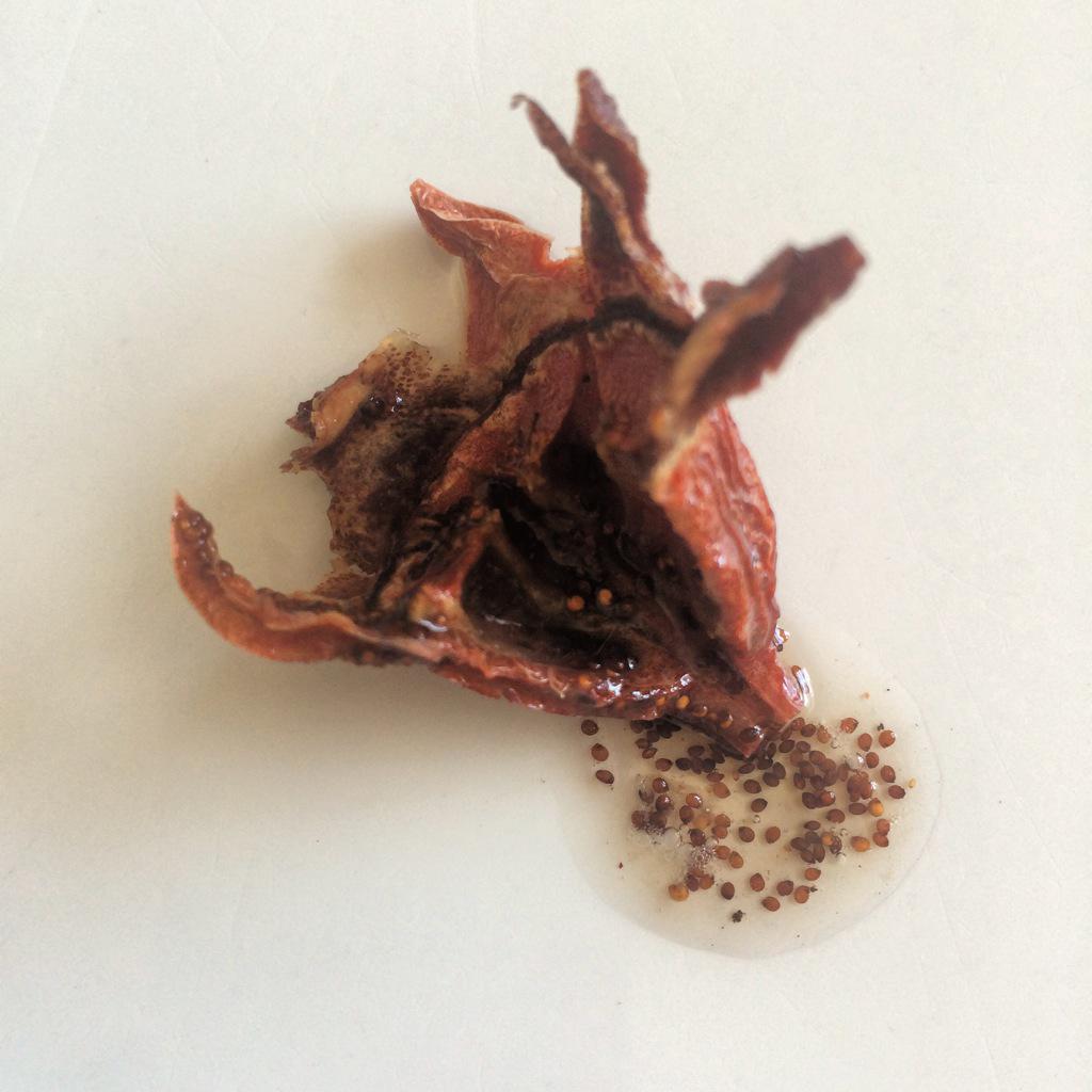 carofoodartist's tweet image. Playing with sour figs #eatdesign