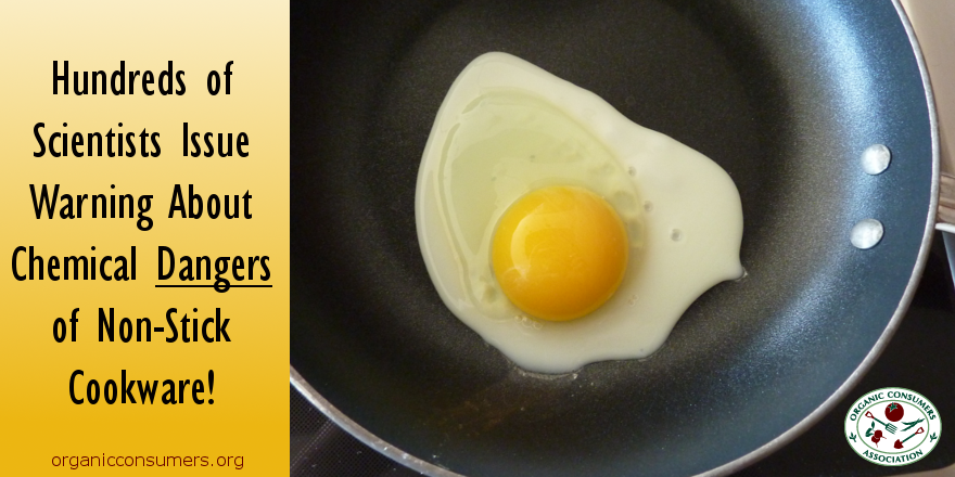 OrganicConsumer's tweet photo. Non-stick cookware linked to #health issues, including thyroid disease &amp; infertility in women! http://t.co/0pz9KmrI8g http://t.co/680RPanC06