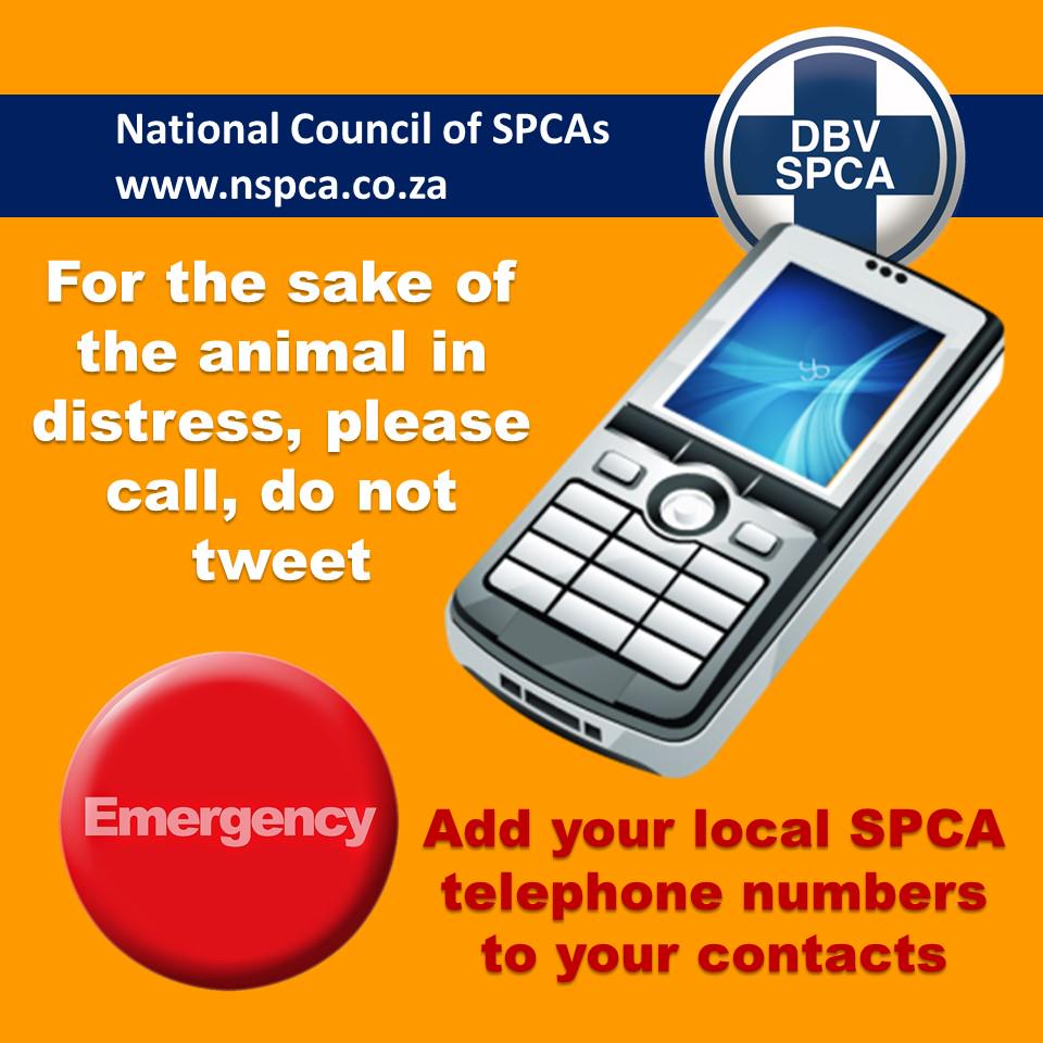 NSPCA South Africa tweet media