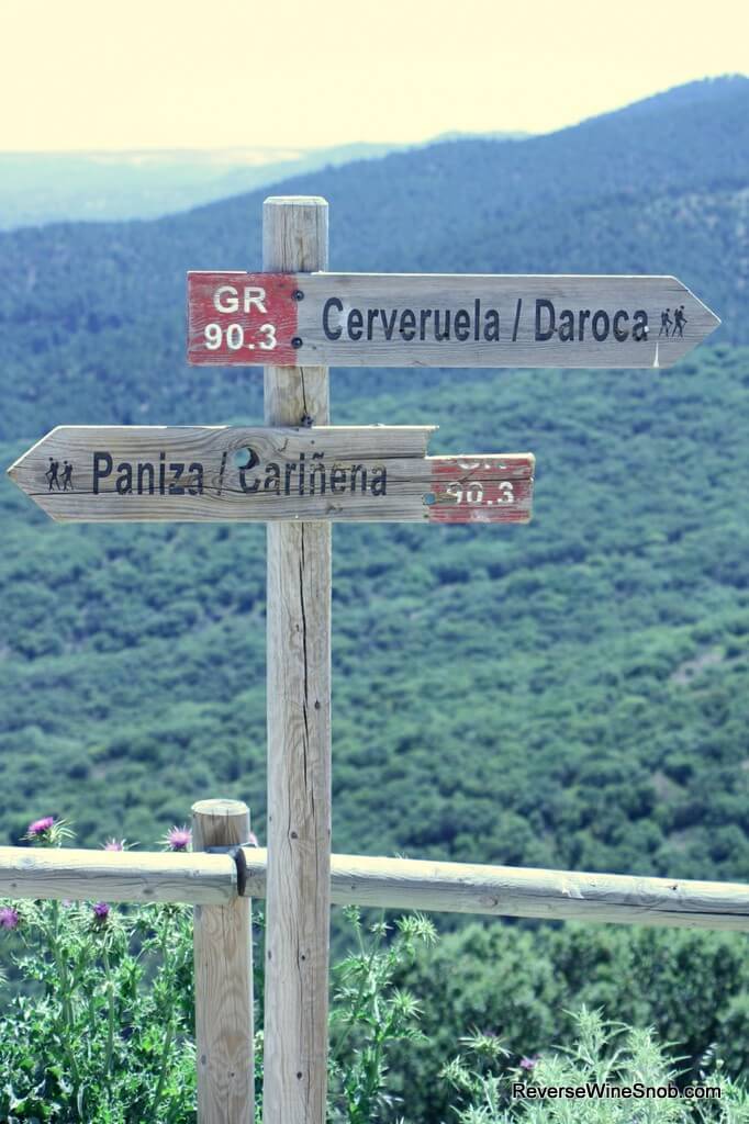 ReverseWineSnob's tweet image. RT @Nachete67: Vinas Viejas de Paniza Garnacha – A Spanish Wonder reversewinesnob.com/vinas-viejas-d… @ReverseWineSnob @scholcar