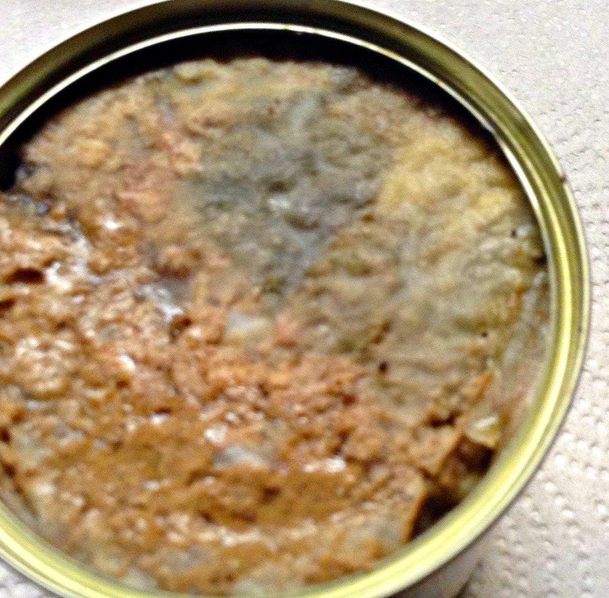 bjkbrady's tweet photo. .@PedigreeUS not happy with your product today.Food covered in mildew in sealed can. 21cans a week #Changingbrands http://t.co/6QUViA2IGX