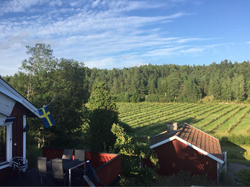 GeorgiRoll's tweet photo. A good view for this next week! http://t.co/Od1CHQUZ3a