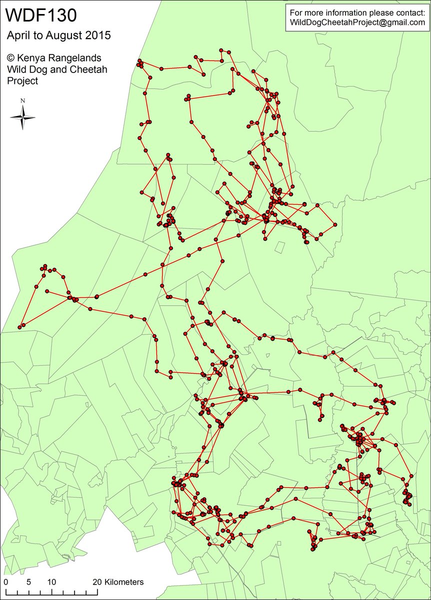 hmk_oneill's tweet image. Downloaded data from collared wild dog we&apos;d not seen for 3 months - turned out she&apos;d wandered &amp;gt;1500km #fieldworkwin