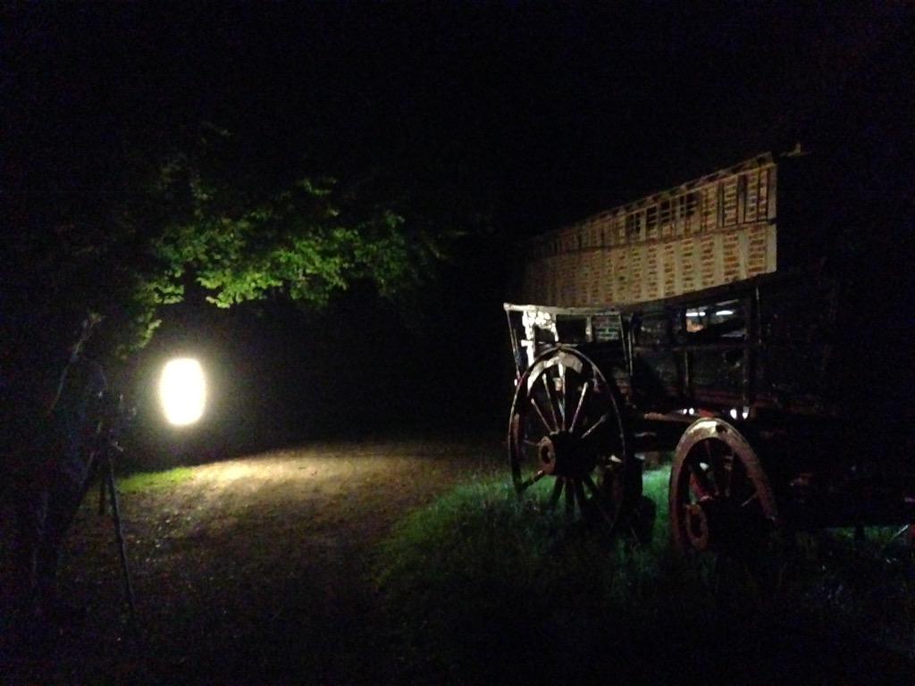 Joe Leat tweet media