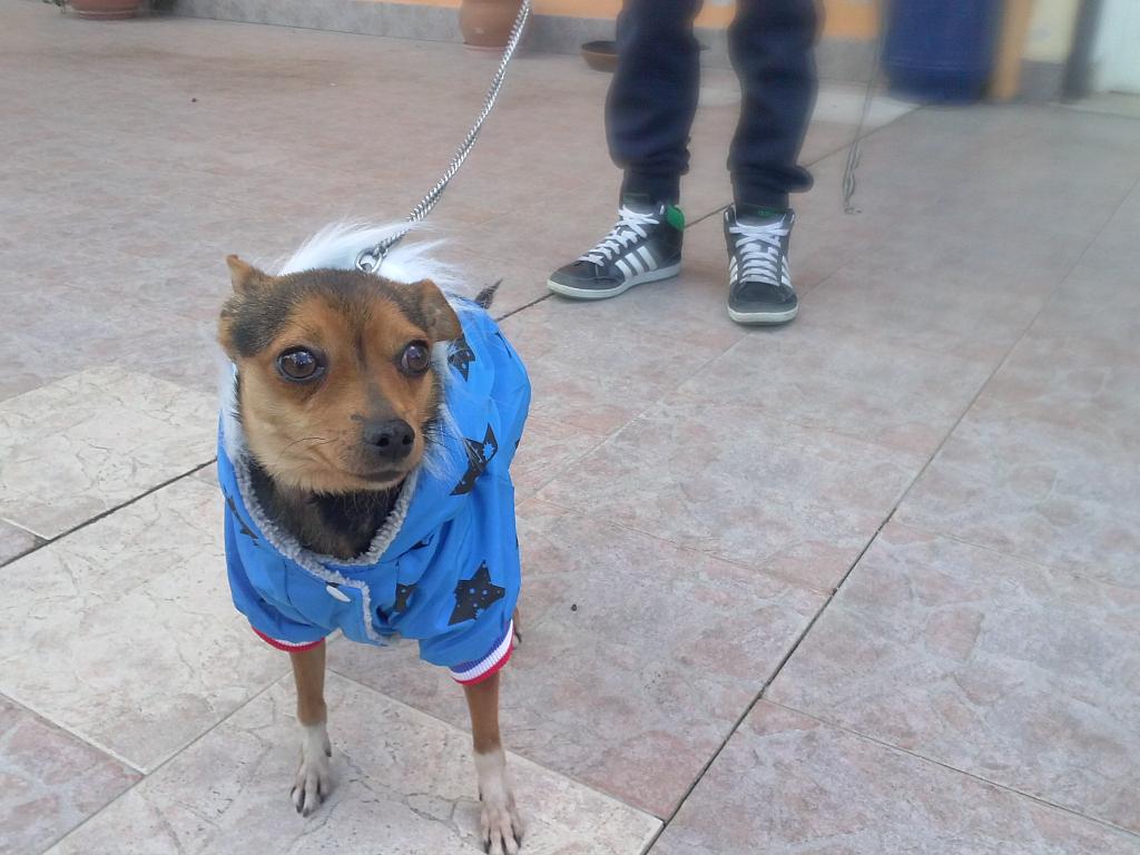 samueledc05's tweet photo. http://t.co/Ua8ZMSW2xe