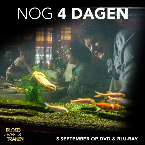 BZTdeFilm's tweet photo. Ga jij de DVD van Bloed, Zweet &amp; Tranen aan jezelf cadeau doen? #BZTdefilm http://t.co/hGAOy6bC5P