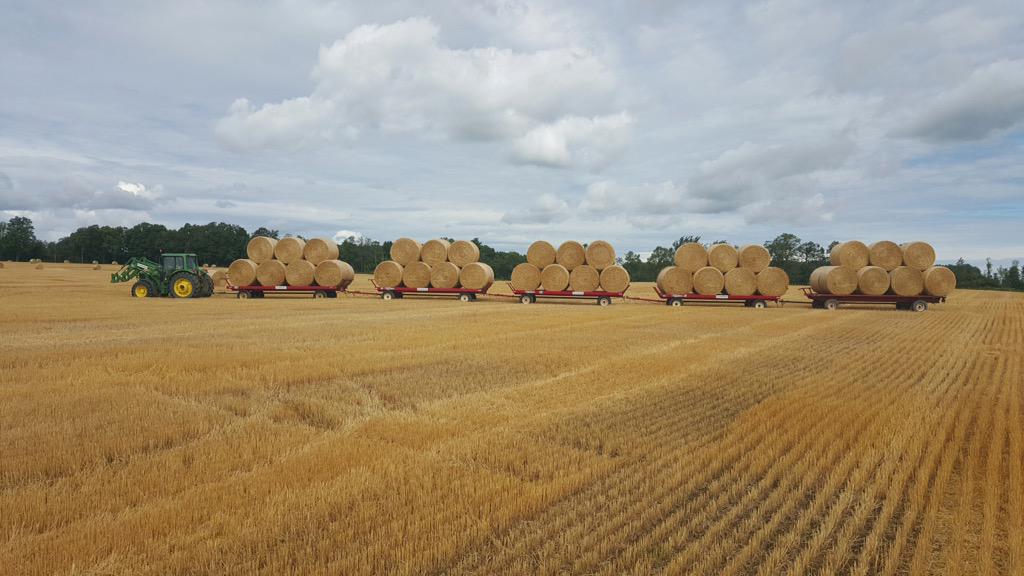 PeterbiltFarms's tweet photo. 150 4x5 round bales of straw 4 sale located in Stayner ont PM 4 details #OntAg #farm365 #straw15 #harvest15 http://t.co/DU7dhpVVm8