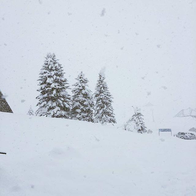 EstudioMOLE's tweet photo. Snow! #snow #badweather #landscape #mountain #gpwinterbreak http://t.co/zrEI3zTT1P http://t.co/oHg5v4La3n