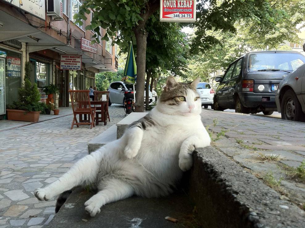 DJElhaam's tweet photo. I'm a serial chiller. http://t.co/JfxcnPg4o2