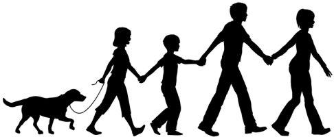 walkingfours tweet picture