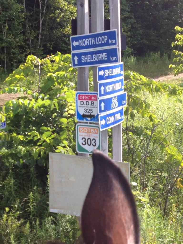 vetsridecanada's tweet photo. #cvf2015 @OvilleBanner riding into orangeville today! @PetawawaMFRC @BurdenoFreedom #zoe #cprailtrail http://t.co/mT0TLia1ch