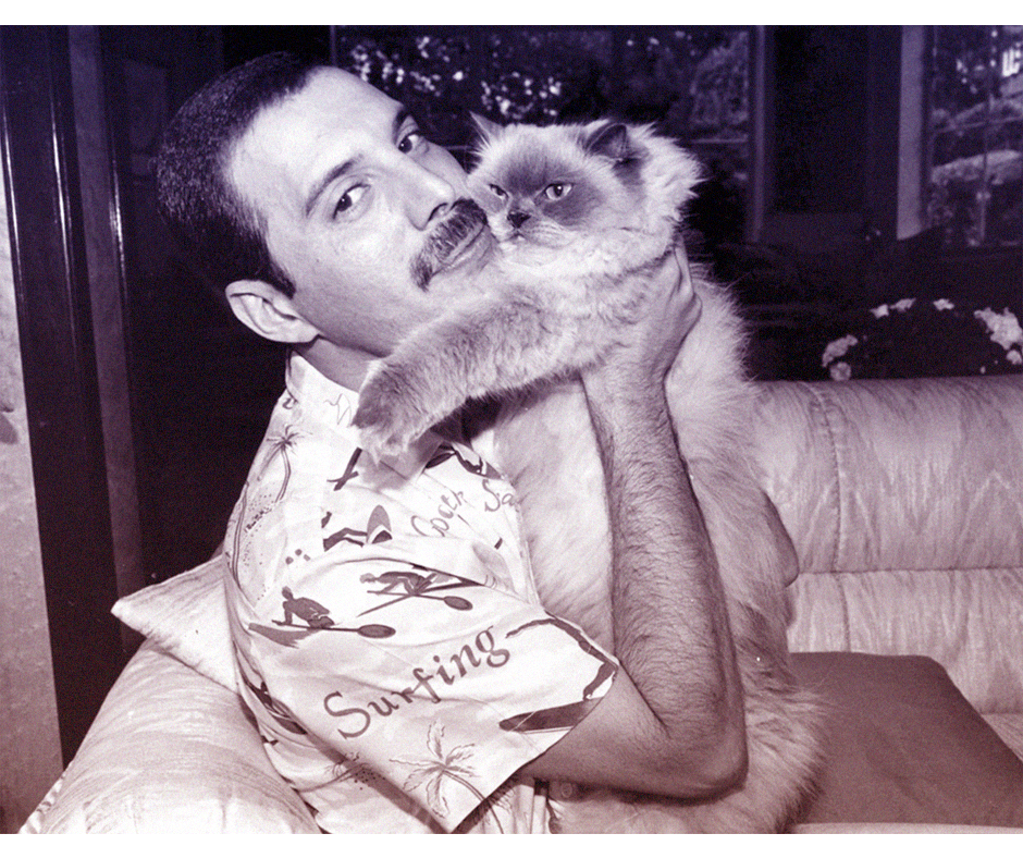 Fosterchile's tweet photo. #FreddieMercury y Tiffany #MundoFOSTER http://t.co/K2qzZ02KDW