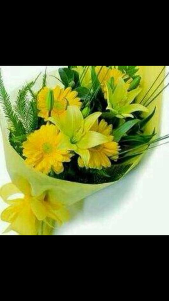 20Alanan's tweet photo. http://t.co/zwfiSMLJHK