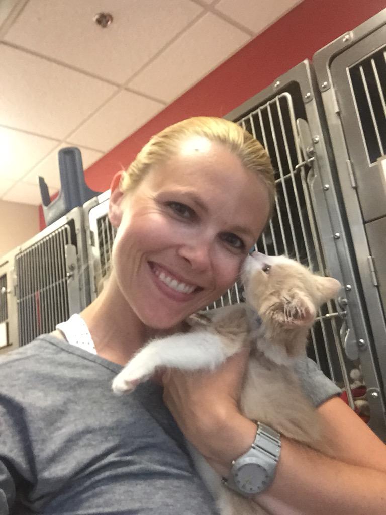 ChattyGirlMedia's tweet photo. This kitty is to cute for words! Someone needs to adopt this one at @EdmontonHumane! http://t.co/cMeMfyLkp8