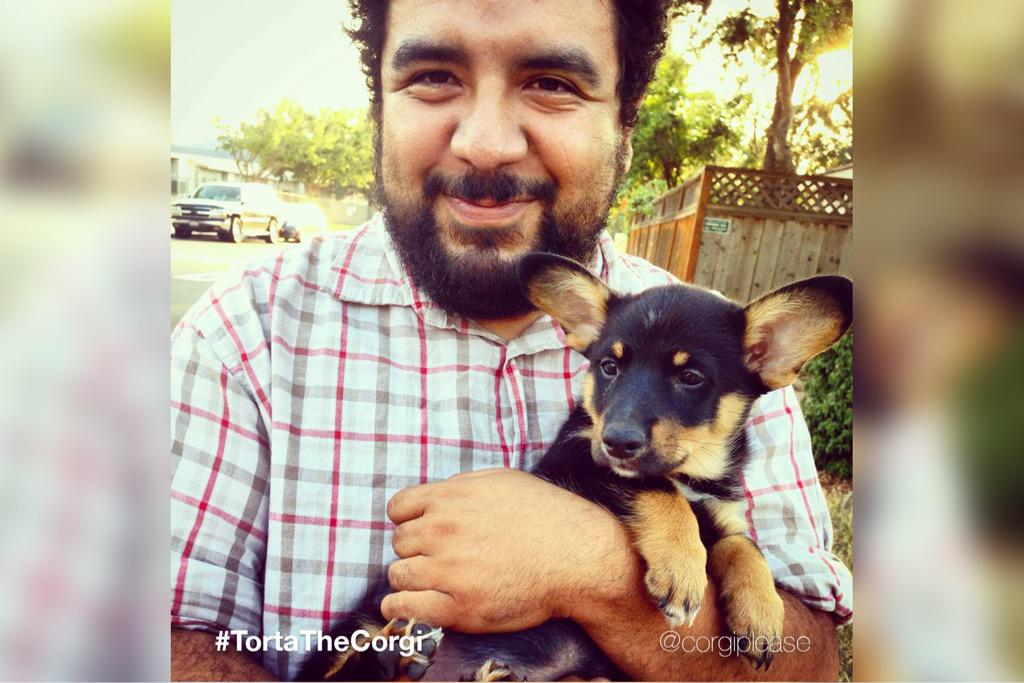 CorgiPlease's tweet image. #ThrowbackThursday - the day #TortaTheCorgi came into our lives! #😍#gotchaday #corgi #puppy #TbT #CorgiArmy