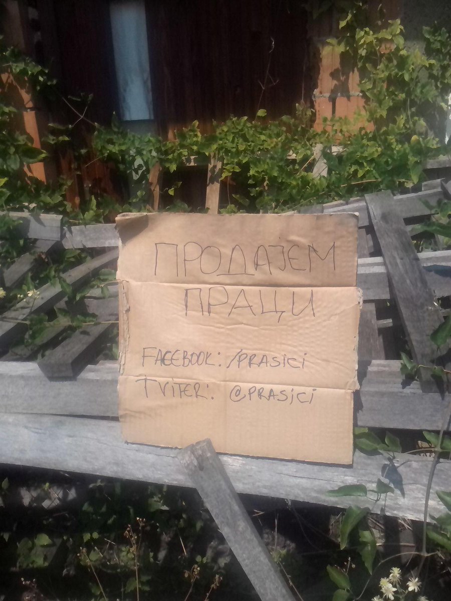 neparno10's tweet photo. Prodajem praci #prasici Možda već 2016? http://t.co/4m8TpXA5RG